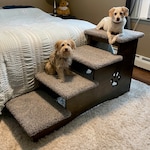 Pet Furniture