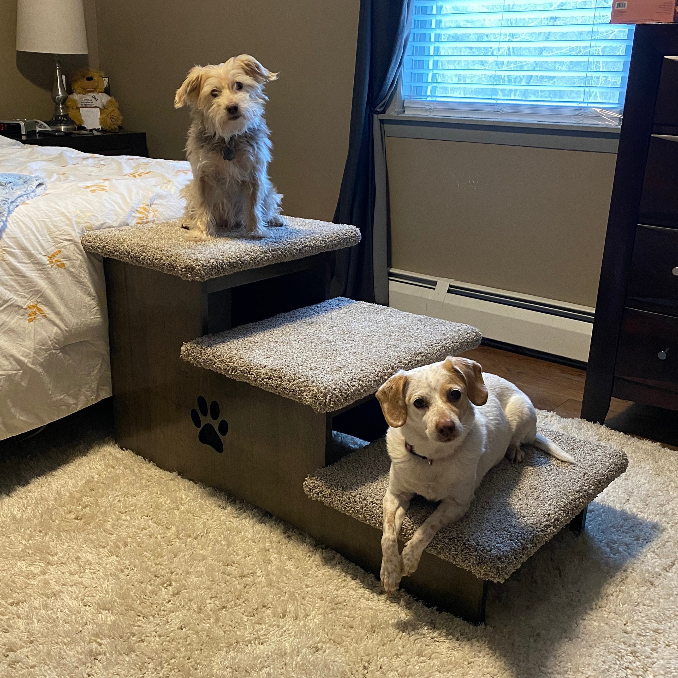 EXTRA DEEP 23 Inch Pet Steps for Large Dogs Modern Pet Furniture Helps With Arthritis Joint Pains Hip Dysplasia Etsy