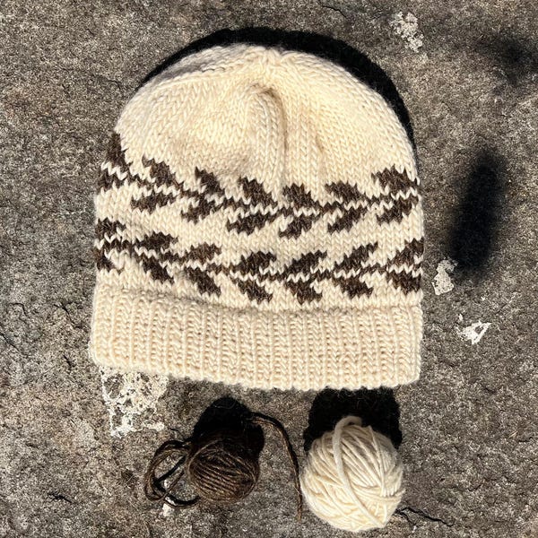 Norah Hat Knitting Pattern, Floral Colorwork (Digital PDF)