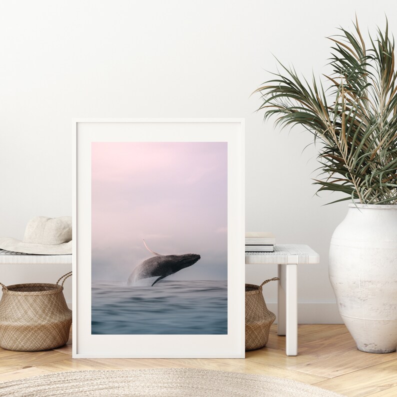 K&ouml;nnte beinhalten: Ein gerahmtes Foto eines Wals, der bei Sonnenuntergang aus dem Wasser springt. Das Wasser ist in einem sanften Blau gehalten und der Himmel in einem zarten Rosa und Lila.