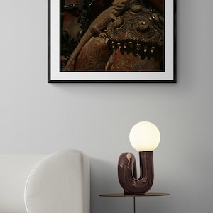 Puede incluir: Una fotograf&iacute;a enmarcada de una persona con un lagarto en el hombro, de pie junto a un caballo. La persona lleva una chaqueta con estampado dorado y marr&oacute;n. La fotograf&iacute;a est&aacute; colgada en una pared blanca.