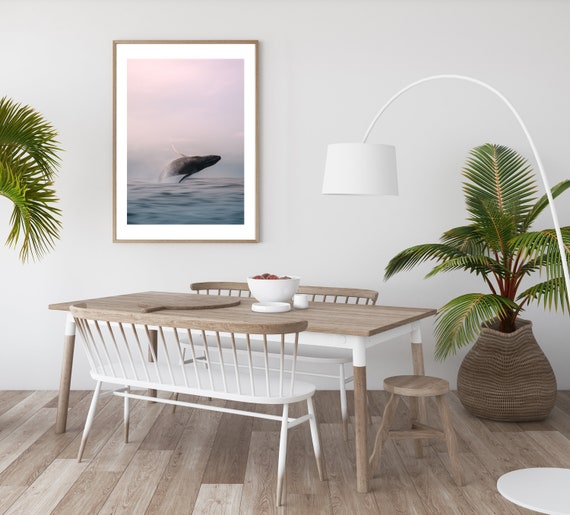 Tweed Whale in Sunset Framed Print , Sea Animal Wall Art , Australian Ocean Photography , 12x16 18x24 24x32 30x40 inch frame