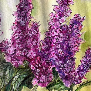 Lot de 8 CARTES POSTALES de 6 x 8 po. avec enveloppes représentant des fleurs rose fuschia.  À partir d'illustrations originales à l'aquarelle.