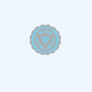Spelman Alumna Enamel Pin