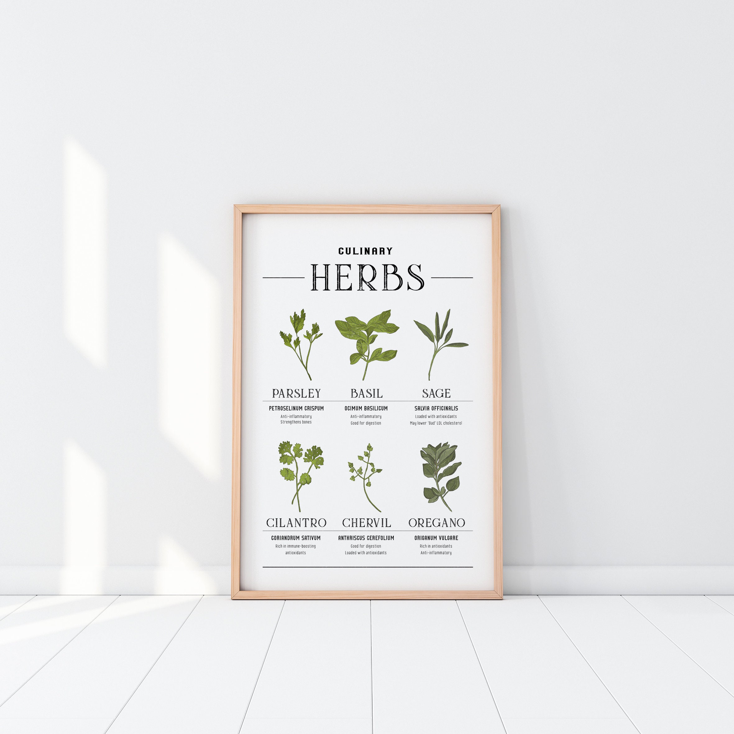 Herbs Print Herb Wall Art Botanical Print Kitchen Print | Etsy