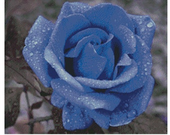 The Blue Rose Instant PDF Download Counted Cross Stitch Pattern