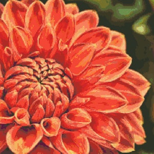 Dahlia in Orange and Coral Instant PDF Download Counted Cross Stitch Pattern