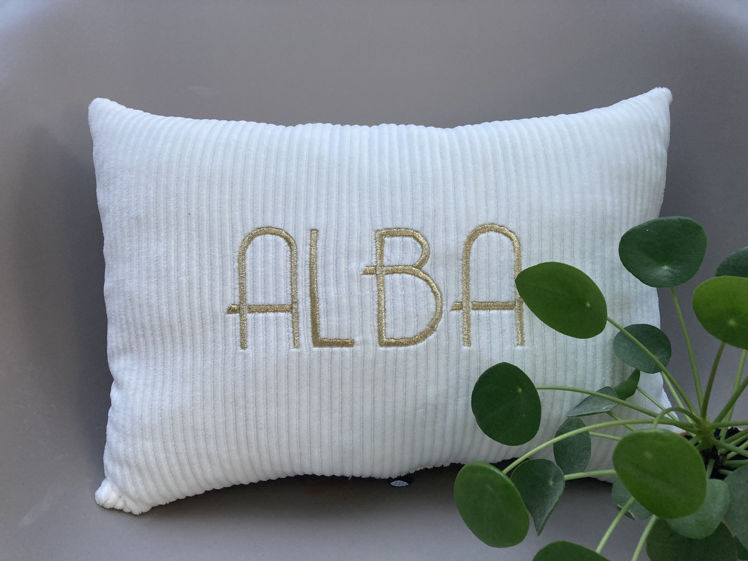 Coussin en Velours Brodé, Personnalisé, Cadeau de Naissance, Mariage