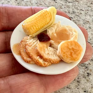 Op de afbeelding: Miniatuur Thanksgiving-diner op een wit bord. De maaltijd omvat gesneden kalkoen met jus, een maïskolf, aardappelpuree, een broodje en cranberrysaus. Het bord wordt in een hand gehouden.