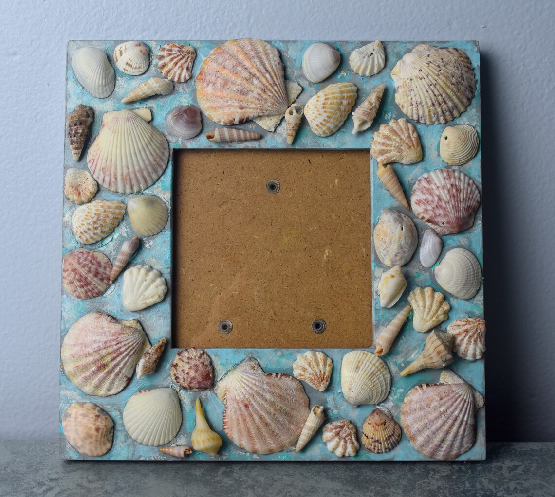 Small Seashell Frame Frame With Shells Shell Wood Rustic - Etsy