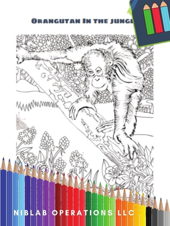 Orangutan coloring page, instant download