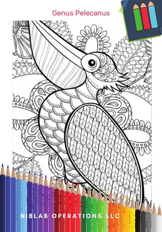 Bird Coloring Page, Pelican Coloring Page, Instant Download