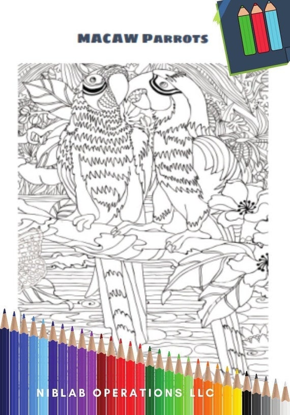 Parrot coloring page, coloring page of a parrot, instant download