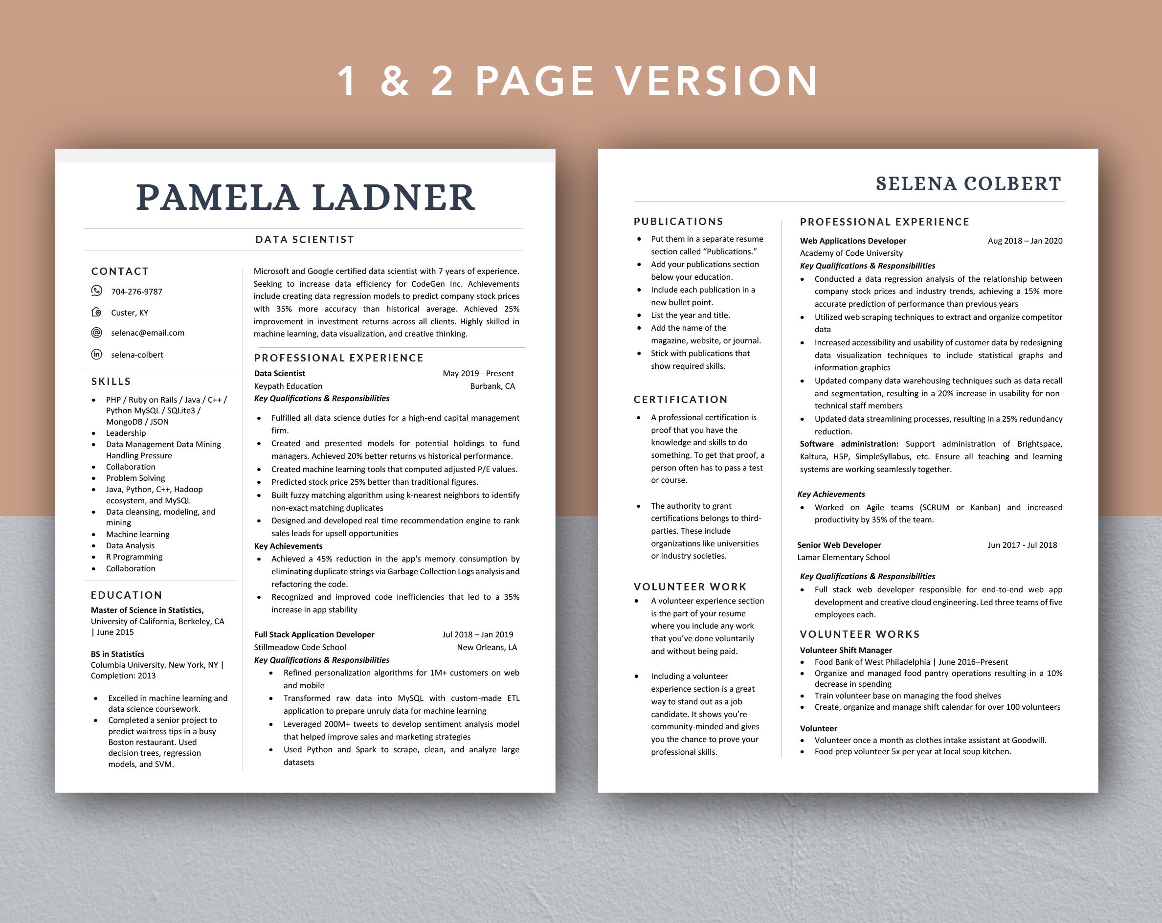Modern Professional Resume Template for Word & Mac Pages, CV Template ...