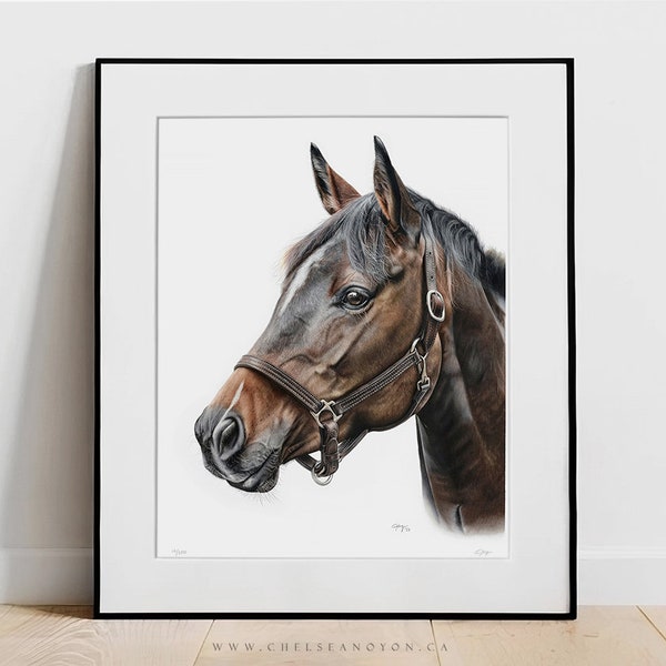Limited Edition Art Print of Coloured Pencil Drawing "Espresso", Equine Artwork by Chelsea Noyon, Bay Horse in Halter, Horse Portrait