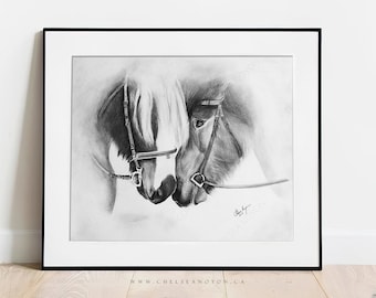 Original Pencil Drawing Affinity by Artist Chelsea Noyon, Graphite on Bristol Board, Acid Free Recycled Paper, Equine Art, Horse Artwork