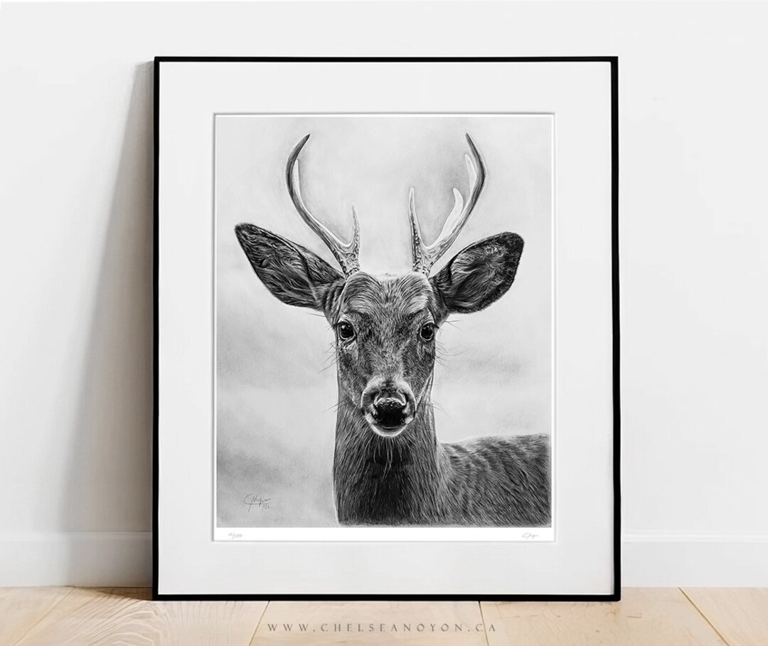 Limited Edition Print of Pencil Drawing 