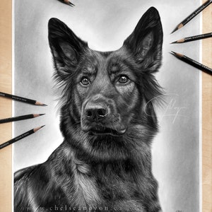 Custom Pet Graphite Portraits, Pencil Portrait Art, Dog Drawings, Realistic Commission Drawing, Original Artwork from Photos, Memorial Gift