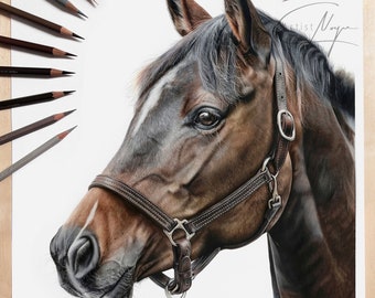 Custom Horse Colored Pencil Portrait, Equine Art, Coloured Drawings, Realistic Commission, Artwork from Photo, Original Gift, Memorial