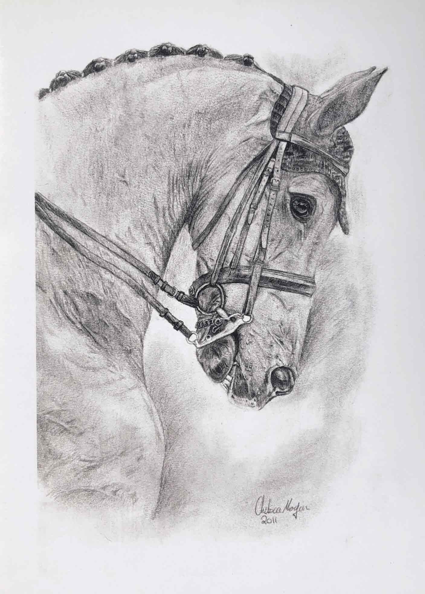 Tarjeta de arte de dibujo del lápiz del caballo doma por el | Etsy