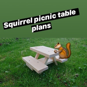 May include: A small wooden picnic table with a squirrel sitting on the edge. The table is made of unfinished wood and has a simple design. The squirrel is brown and white with a bushy tail.