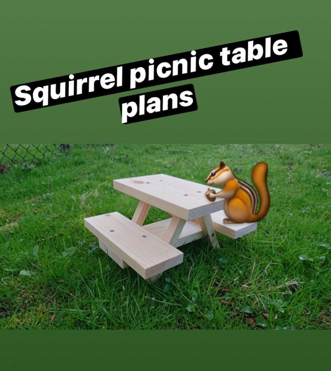 Squirrel Picnic Table Plans / Blueprints / Instructions Etsy