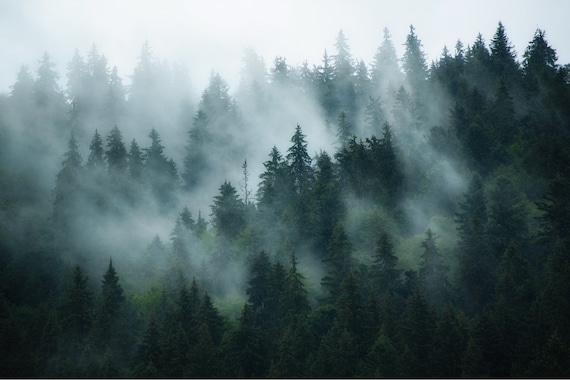 Foggy Wallpaper Mountain Wallpaper Landscape Wallpaper Forest