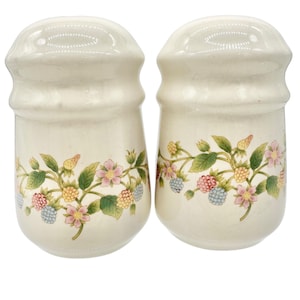 May include: A pair of off-white ceramic salt and pepper shakers. Each shaker features a floral design with pink flowers, green leaves, and berries in shades of yellow, pink, and blue. The shakers have a rounded shape.