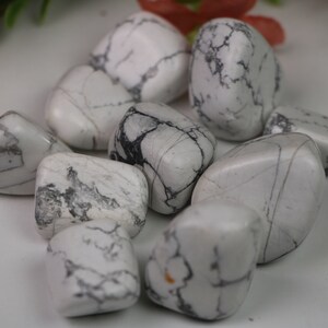 Howlite Tumbled Stone Wholesale Tumbled Stones 1 LB Bag