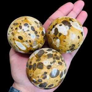 May include: Three brown, white and black speckled spheres made of polished stone. The spheres are arranged in a triangular pattern in a person's hand.