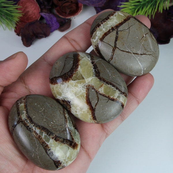 Septarian Palm Stone, Septarian palm stones nice quality crystals