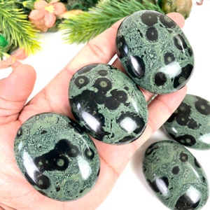 Kambaba Jasper Palm Stone, Polished Gemstone Crystal