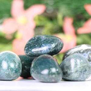 Moss Agate Tumbled Stone Crystals High Quality One Pound Natural Polished Stone