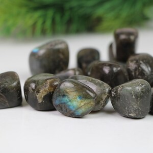 Labradorite Tumbled Stone-Wholesale Crystals-Polished Stone 1 LB Bag