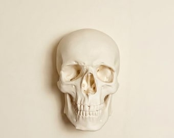 Totenkopf Schädel Schwarz Weiß Gothic Gothic Decor Wandbehang 23x13 cm