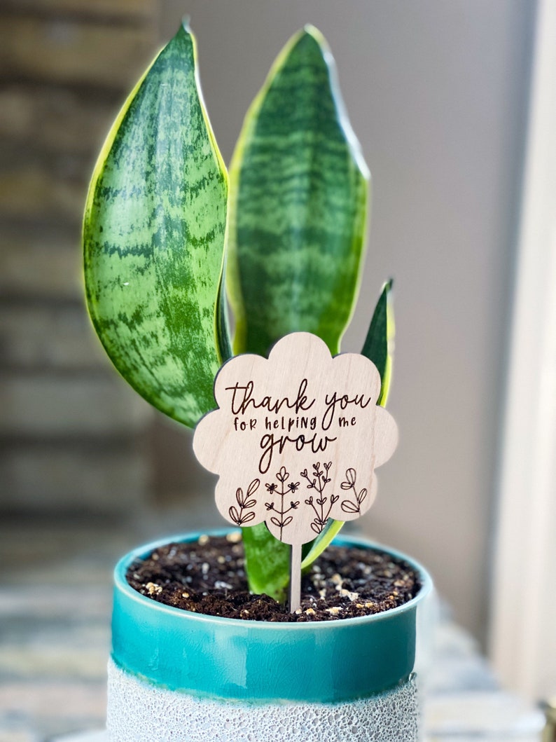 Teacher plant stake, teacher appreciation gift, end of year gift, Mothers Day gift, thanks for helping me grow, grandma gift image 3