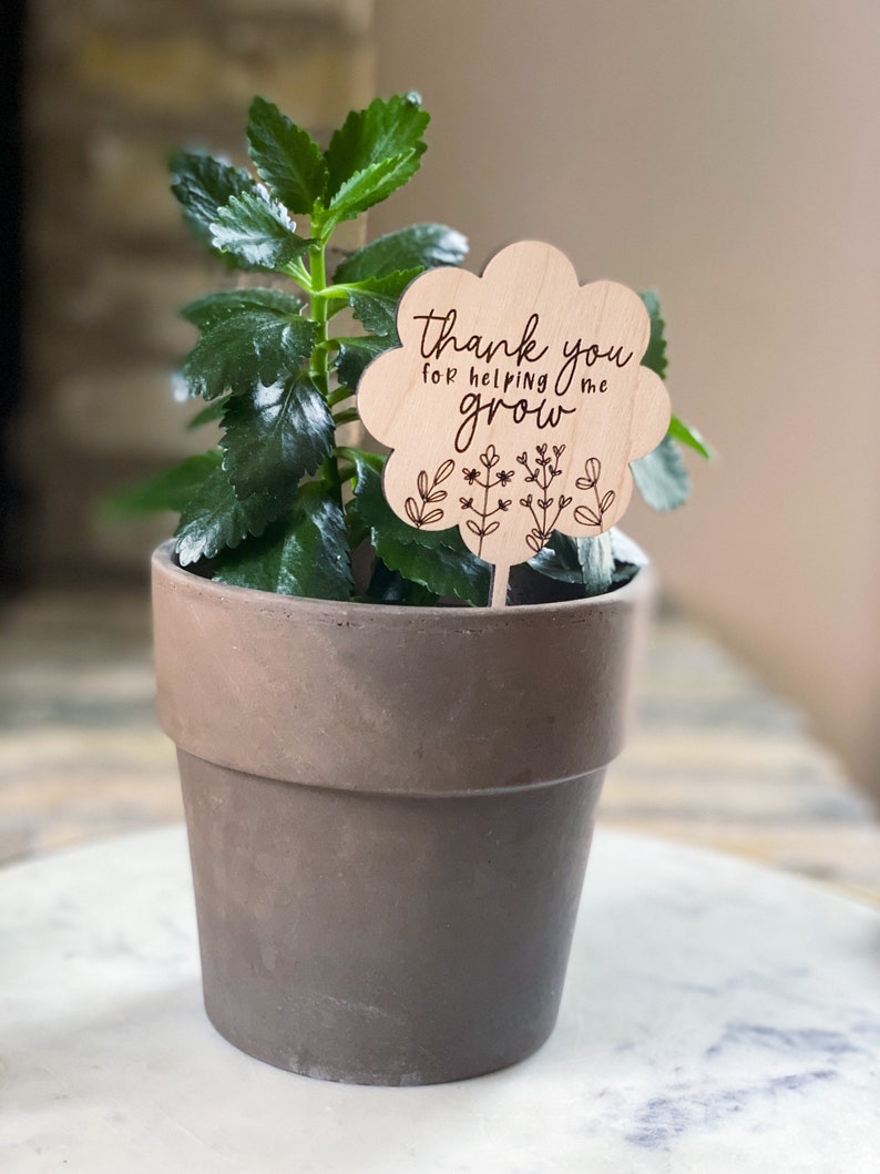 Teacher plant stake, teacher appreciation gift, end of year gift, Mothers Day gift, thanks for helping me grow, grandma gift image 2