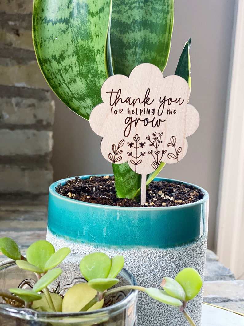 Teacher plant stake, teacher appreciation gift, end of year gift, Mothers Day gift, thanks for helping me grow, grandma gift image 10