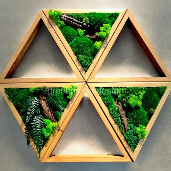 Wall moss art, Wooden triangles, Vertical garden, Preserved moss, Living moss wall art, Moss decoration, wood moss decor, office decor