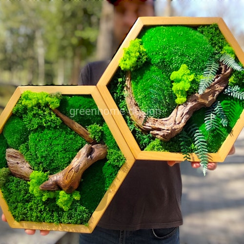 Wall moss art, Wooden honeycombs, Vertical garden, Preserved moss, Living moss wall art, Moss decoration, hexagon shelfs, original present