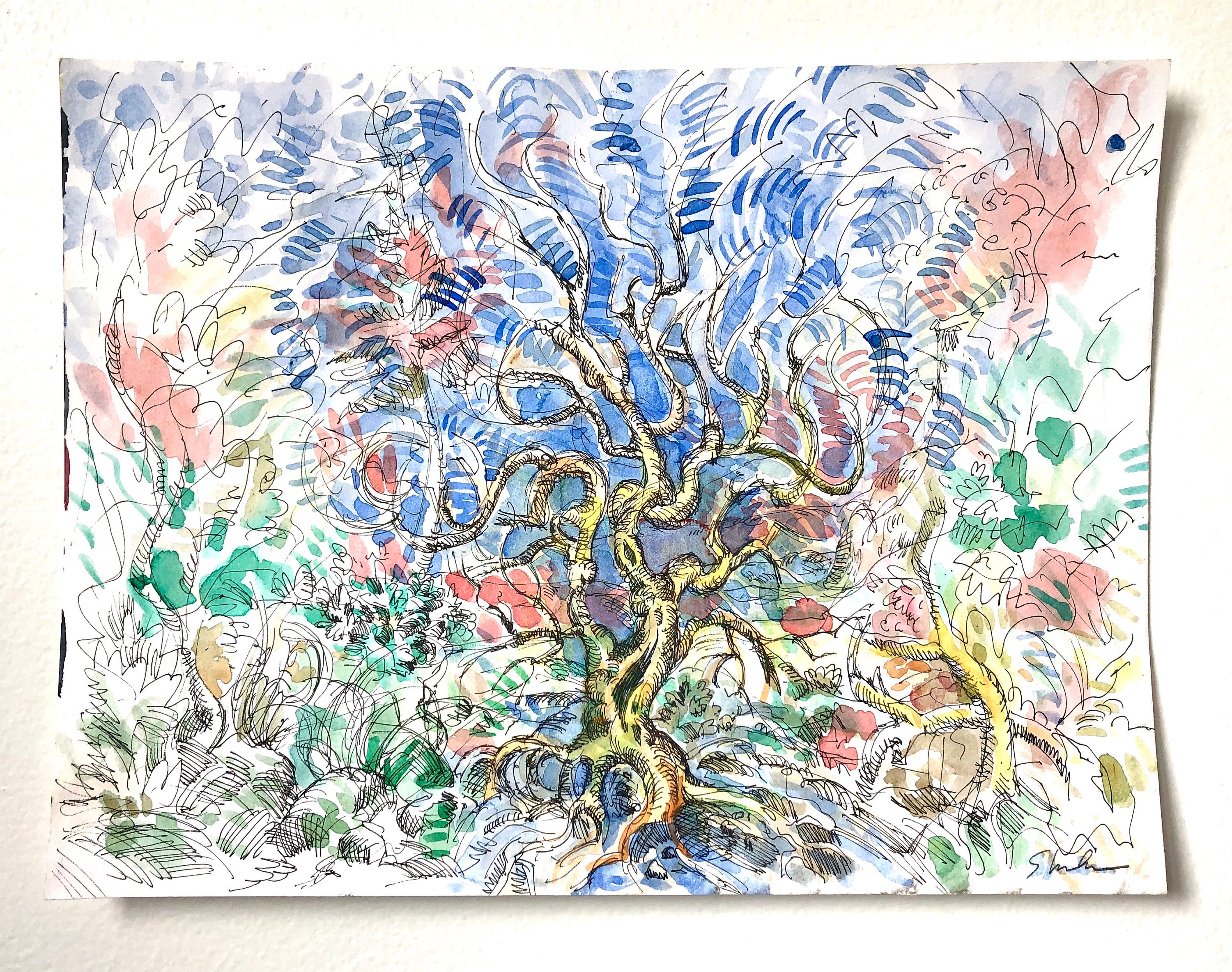 Old Apple Tree Pen Ink & Watercolor | Etsy