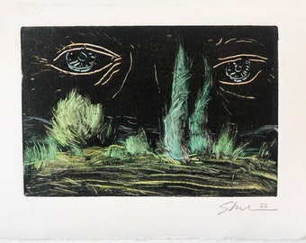 Valley Eyes
