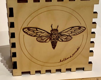 Cicada Box, Small Dovetail Box, Laser Cut Box