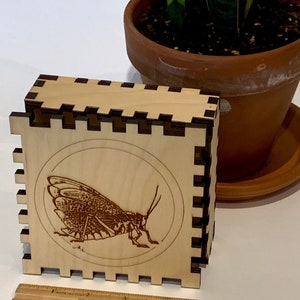 Grasshopper Box, Birch Box, Dovetail Box, Small Wood Box