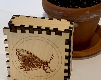 Grasshopper Box, Birch Box, Dovetail Box, Small Wood Box