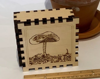 Wavy Cap Mushroom Box, Birch Box, Dovetail Box, Small Wood Box, Mushroom Box