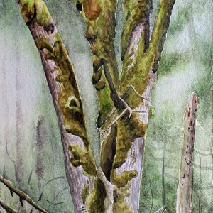 Forest Maple, original watercolor, unframed