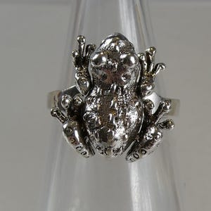 May include: A silver frog ring. The ring showcases a detailed frog design with large eyes and textured skin. The frog is centered on a simple band, creating a unique piece of jewellery.