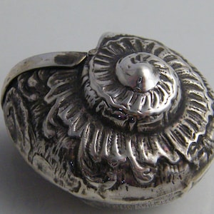 Scatola in conchiglia d&#39;argento