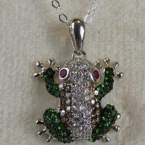 May include: A silver frog pendant necklace. The frog pendant is encrusted with white, green, brown, and red gemstones. The frog's eyes are red gemstones. The necklace chain is silver.